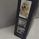 Andis Emerge Lithium-ion Cordless Detachable Blade Dog Clipper, for All Coats & Breeds, Purple, 560489