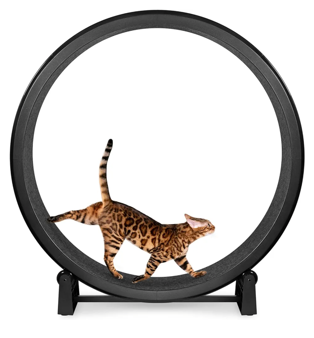 Cat Exercise Wheel for Indoor Cats, 45'' ABS Cat Wheel Exerciser Quiet Cats Treadmill with Pedometer, Small Animal Running Wheels for Weight Loss and Health Black