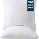 Utopia Bedding Throw Pillows Insert (Pack of 2, White) - 20 x 20 Inches Bed and Couch Pillows - Indoor Decorative Pillow (20x20 Inch)