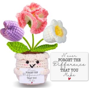Teacher Appreciation Gifts, Thank You Teacher Gifts, Graduation Birthday Retirement Gift for Teachers Mentor Coworker Boss, Cute Handmade Crochet Carnations 3 Flowers Pot Doll Teacher's Day Bulk Gift
