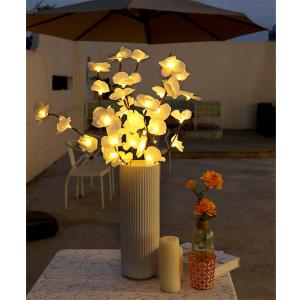 Fantasee White Orchid Twig Lights, 30 Inch 20 LED Artificial Phalaenopsis Branch Lights Battery Powered Decor Lights for Home Shop Windows Vase Wedding Christmas (2 Packs, Whtie)