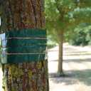 1.75m Grease Band Tree Insect Protection
