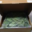 Ling's Moment Rosa Banksiae Artificial Vines, Pack of 7 Silk Greenery Garlands with Hanging Faux Laurel Leaves for Table Centerpieces, Wedding Arches & Floral Filler Arrangements