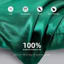spencer & whitney Silk Pillowcase for Hair and Skin Health with Hidden Zipper 100% Mulberry Silk Bed Pillowcase Both Side 22 Momme Silk(Green)