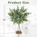 Briful 14.2" Artificial Eucalyptus Stem in Glass Vase with Faux Water  Small Fake Plant with Decorative Stones  Eucalyptus Leaves Artificial White Seeds Decor for Indoor Tabletop Shelf Office