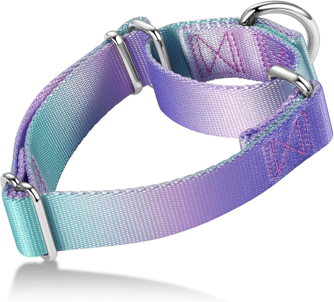 Martingale Dog Collar Colorful Gradient Fashionable - Anti-Escape Soft Durable Pets Collar for Walking Training Outdoor Daily Use -Large, Purple Green