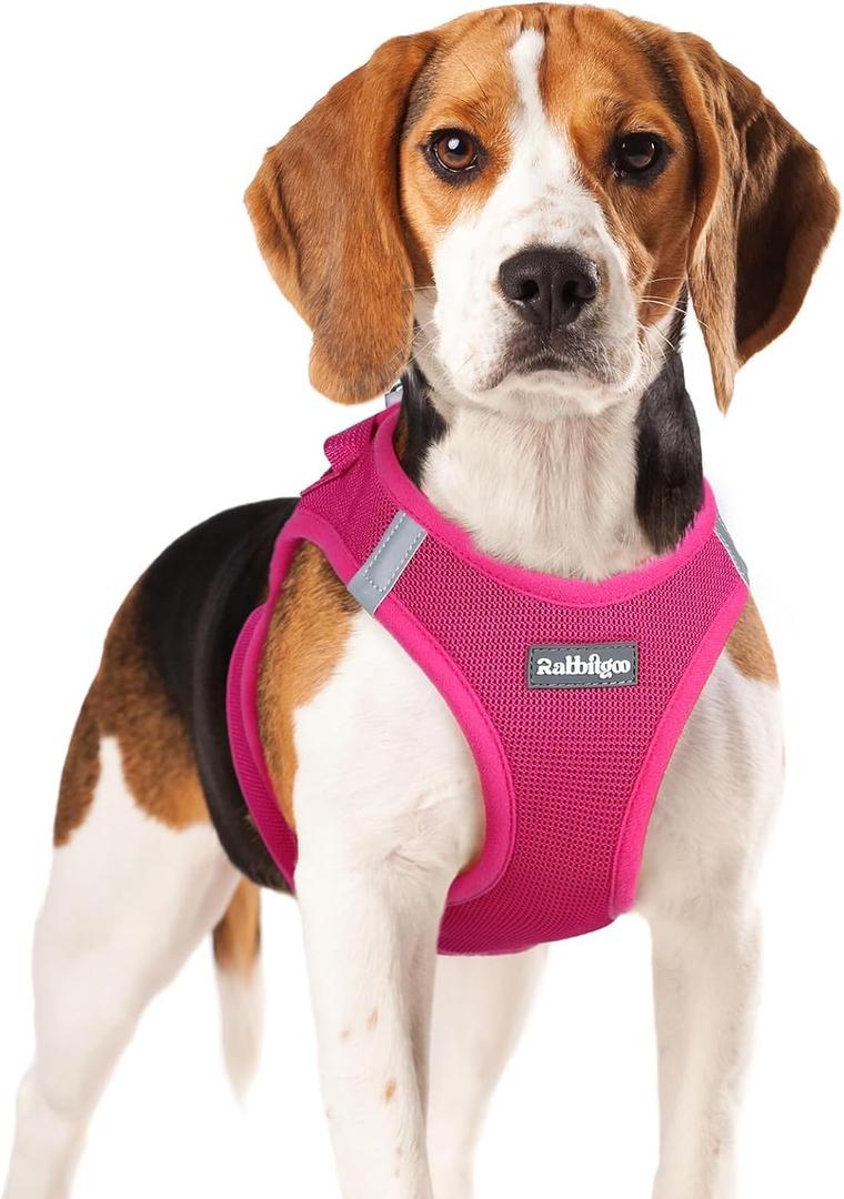rabbitgoo Small Dog Harness, Step-in Soft Mesh Puppy Vest with Safety Buckle, Breathable Reflective Pet Harness for Small Medium Dogs, Rose Red XL (XL(Chest:20.0"-21.8"))