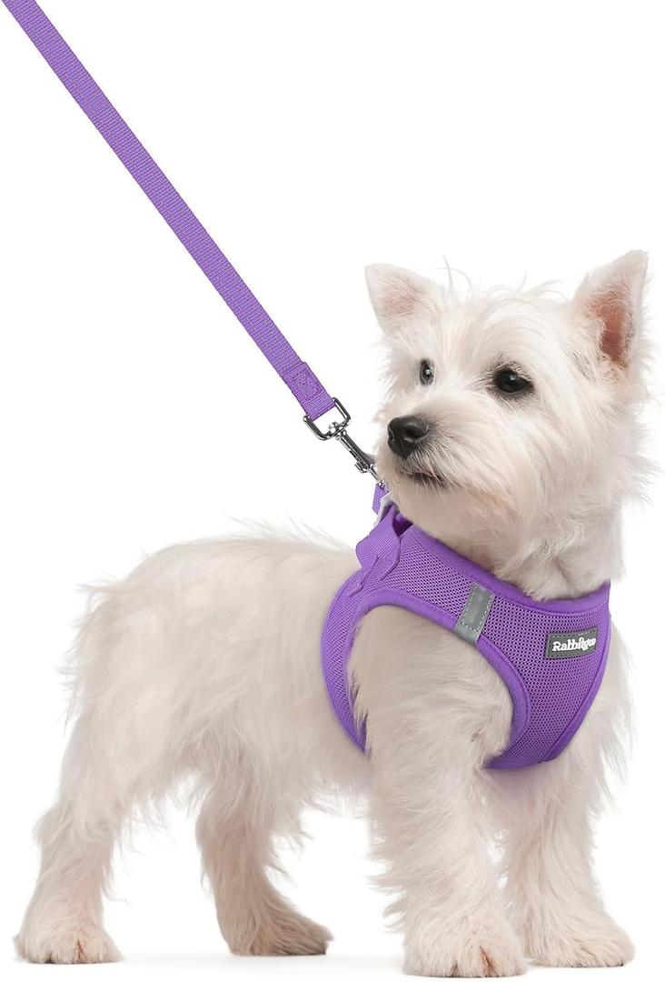 Rabbitgoo Dog Harness Small Sized and Leash Set, Step in Soft Light Puppy Vest, Breathable Mesh Pet Harness, Reflective for Safe Outdoor Walking, Purple S
