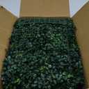 Artificial Grass Wall Backdrop: 10"x 10"(26P) Boxwood Faux Green Wall Panels for Interior Wall, Greenery Wall, Garden and Indoor Outdoor Plant Decor