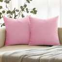 ANRODUO Pack of 2 Velvet Baby Pink Throw Pillows Spring Decorative Pillow Covers Euro Cushion Case Soft Solid Square Cozy Modern Home Decor Pillowcase for Sofa Couch Bed and Living Room 20x20 Inch (20" x 20" (Pack of 2))