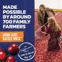 Ocean Spray Cran-Mango Juice Drink, 10 Ounce Bottle (Pack of 6)