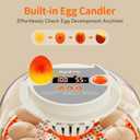 APDOE Egg Incubators for Hatching Eggs, Temperature and Humidity Control, Automatic Egg Turning, Egg Candler, External Water Bottle, Air Vent, for Chicken, Duck & Quail Eggs, 12 Eggs