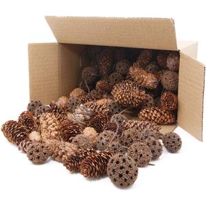 Apol Total 200 Pcs Natural Mini Pinecones Maple Fruit Ornament Set for Vase Fillers Photo Props DIY Home House Christmas Decoration Craft