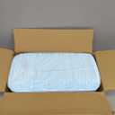 Basics LeakProof Dog and Puppy Potty Training Pee Pads with QuickDry 5Layer Super Absorbent Design, Regular Size 22 x 22 inch, Blue & White, 100 Count