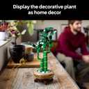 LEGO Botanicals Lucky Bamboo Building Set - Artificial Plant for Indoor Home Dcor, Adults Ages 18+ - Fake Plant Decoration for Table, Desk, Office - Gift for Birthdays - 10344