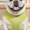 KYEESE  Dog Sweater Stretchy Dogs Clothes Dog Sweaters for Small Dogs Male Soft Dachshund Clothes Warm Pet Coats Turtleneck Small Pet Sweaters Pullover Pets Sweatshirt, S