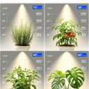 Barrina TR40c Track Grow Light for Indoor Plants, 15-60 Adjustable Beam Angle, 3 x 40W, 4000K Full Spectrum LED Plant Lights, Plug in Ceiling Mounted Grow Bulbs for H-Type Track with Timer, White