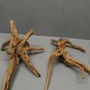 Natural Large Spiderwood Driftwood for Aquarium Decor Rptile Fish Tank Decoration Assort Branch 11-14'' 2 Pcs