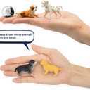 Toymany 12PCS Mini Dog Figurines Playset, Realistic Detailed Plastic Puppy Figures, Hand Painted Emulational Tiny Dogs Animals Toy Set, Cake Toppers Christmas Birthday Gift for Kids Toddlers