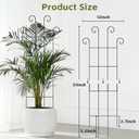 Trellis for Climbing Plants Indoor, 4 Pack 31'' Metal Plant Trellis Indoor for Potted Plants, Sturdy Plant Support Outdoor for Ivy Pothos Monstera Hoya Flower Vine, Wave Shape
