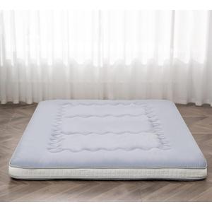 Dr.Futon Japanese Floor Futon Mattress Mat Extra Thick Folding Roll Up Bed for Guest,Lounger and Tavel (Twin, Silvergrey)