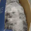 Bedsure Faux Fur Heated Blanket Throw Blanket, Fast Heating Electric Blanket with 6 Heating Levels & 4 Time Settings, Cozy Gifts for Women Men (50x60 inches, Grey)