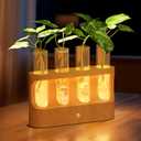 Lightalent Rechargeable Plant Propagation Station with Stepless LED Light, Wooden Stand & 4 Propagation Test Tubes, Hydroponic Plant Terrarium for Indoor Home Decor, Gift for Plant Lovers and Mothers
