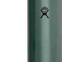 Hydro Flask 40 Oz Lightweight Trail Series Wide Flex Cap Serpentine- Hiking Water Bottle