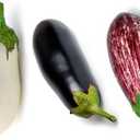 8 x 30+ Seeds Eggplant Long Mix - Vegetable Multicolor