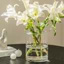 Clear Vases for Centerpieces, 9 Inch Large Glass Vase with Wide Mouth Weighted Bottom, Easy Clean Modern Fish Bowl for Long Stem, Dried, Artificial Flowers, Bouquet