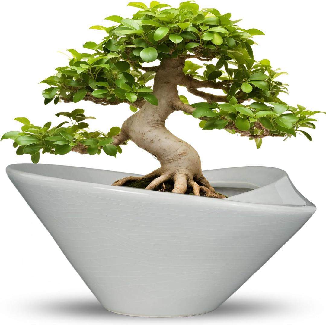 Bonsai Pots 13 Inch - Ceramic Succulent Pots with Drainage Hole Decorative Plant Pot Indoor Large Outdoor Planter Modern Flower Pot for Home Garden Office Room Decor Gray, 13.4 Inch