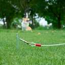 Amazon Basics Rust-Free Steel Wire Tie-Out Cable for Large Dogs up to 90 lbs, Dog Leash Run Tether, 25 feet, White