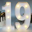 19th Birthday Decorations for Her&Him, 19th Birthday Centerpieces Table Decorations for Girls&Boys,Light Up Numbers 19 Sign for Party Backdrop Wall Decor