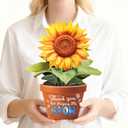2 x APOTODITO Teacher Appreciation Cards, Sunflower Graduation Card with Music and Lights with Text Thank You for Helping me Grow
