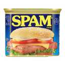 Spam Classic, 12 Ounce Can (EXP 09/01/28)