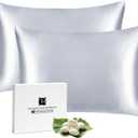 Silk Pillow Cases 2 Pack for Hair and Skin with Hidden Zipper, Ravmix Mulberry Silk Pillowcases Standard Size 20×26inches Set of 2 Silk Cooling Pillow Cases, Silver Grey