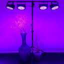 Litake DJ Par Lights, RGB 36 LED Stage Lights Sound Activated, Remote & DMX Controlled LED Uplights,7 Modes Uplighting for Dance Party Church Wedding Birthday Holiday Music Show-8 Pack