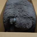 Fluffy Area Rugs for Bedroom 5x7: Shag Rugs for Bedroom - Living Room Area Rug 5x7 Grey Plush Fuzzy Soft Carpet - Teenage Room Dorm Decor Carpets