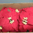 HOMESEASONS 2 Pack 18" Lighted Large Artificial Poinsettias for Outdoors LED Poinsettia Flowers Artificial Faux Poinsettia Plants Poinsettia Christmas Decorations for Office Home Kitchen Decor