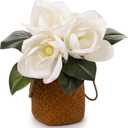 3 Stems Real Touch Creamy White Southern Magnolia Flowers, Artificial Realistic Magnolia Grandiflora for Home Décor