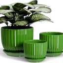 Ton Sin Ceramic Plant Pots,4"+5"+6" Inch,Green Flower Pots with Drainage Holes and Tray,Indoor Planters for Plants Pots,Home Office Decoration GIF for Plants,Succulent Pot Set of 3