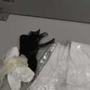 Geyoga 4 Pairs Women Ruffle Socks with Bow Soft Breathable Ankle Socks