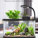 Pawfly 2 Gallon Fish Tank, Small Aquarium Kit, Betta Fish Tank Starter Kit with 6 W LED Light, 65 GPH Filter, Siphon Vacuum Water Changer & Basket, Aquarium for Betta, Shrim, or Small Fishes