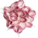 IPOPU Pink Fake Calla Lily Flowers 24PCS Real Touch Pink Calla Lily Faux Flowers Arrangement for Home Party Wedding Bouquet Centerpieces Flower Home Decoration (Pink)