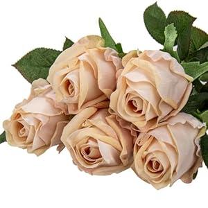 Artificial Realistic Roses Champagne Flowers 24" Real Touch Silk Roses Bouquet Long Stems Rose for Flower Arrangement Fake Roses Decor for Home Party Wedding Table Centerpieces Roses Realistic - 5 Pcs