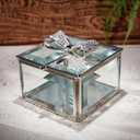 Bow tie square Glass Jewelry Box,Jewelry Ring, Bracelet, Souvenir Metal Display Box, Transparent Storage Box.(3.9x4.2x3.2inches) (Silver)