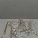 DoonDar 1000 LED Plug in Firework Lights Starburst Lights for Christmas Garden/Patio/Wedding/Party/Bedroom Outdoor or Indoor Decor，Waterproof Twinkle Light with 8 Modes(Multi Color)