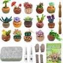 Jevuoyee 15pcs Succulent Needle Felting Kit for Beginners Adult - DIY Starter Kit with Wool Roving, Felting Mat, Needles, Instructions for Home Decoration Crafts