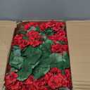 Hananona 24 Pcs Artificial Geranium Flowers for Outdoors Geranium Silk Red Flowers Outdoor UV Resistant Garden Plants Faux Flower for Christmas Home Kitchen Table Centerpieces Decor (24, Red)