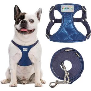Puppytie No Pull Dog Harness with Multifunction Dog Leash,Soft Adjustable No Choke Escape Proof Pet Harness Vest for Medium Dogs,Glossy Sapphire Blue,M (M(16.5-31lb)